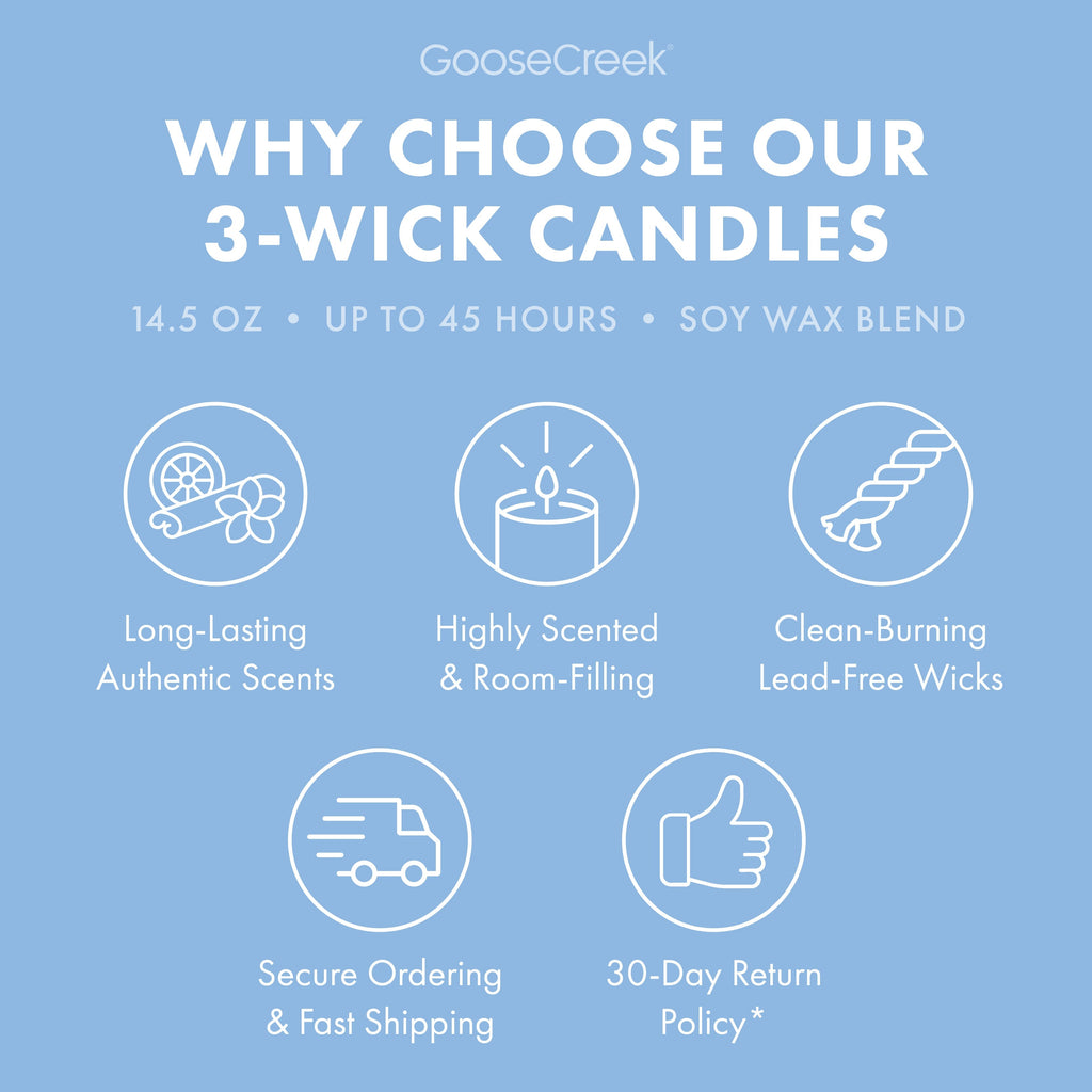 Blueberry Cheesecake 3-Wick Candle
