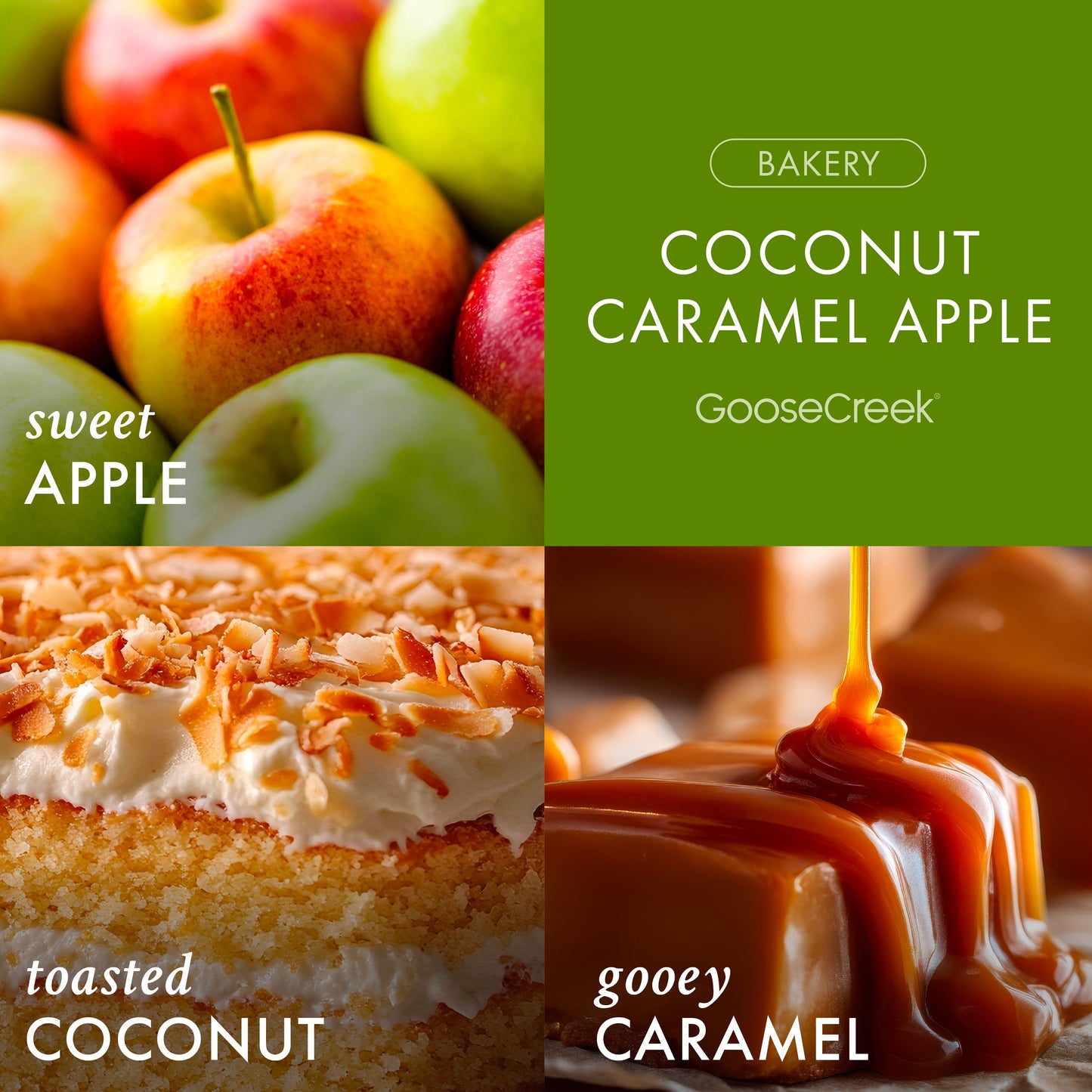 Coconut Caramel Apple 3-Wick Candle