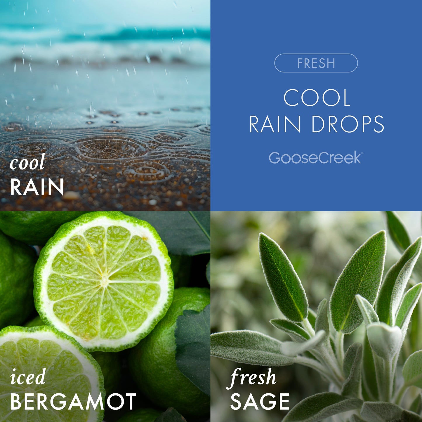 Cool Rain Drops Odor Eliminating Room Spray